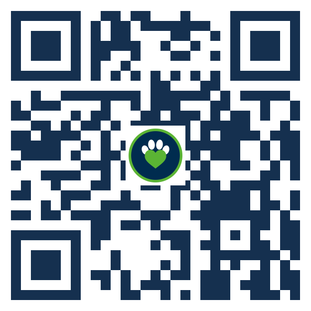 Código QR de BuscandoA