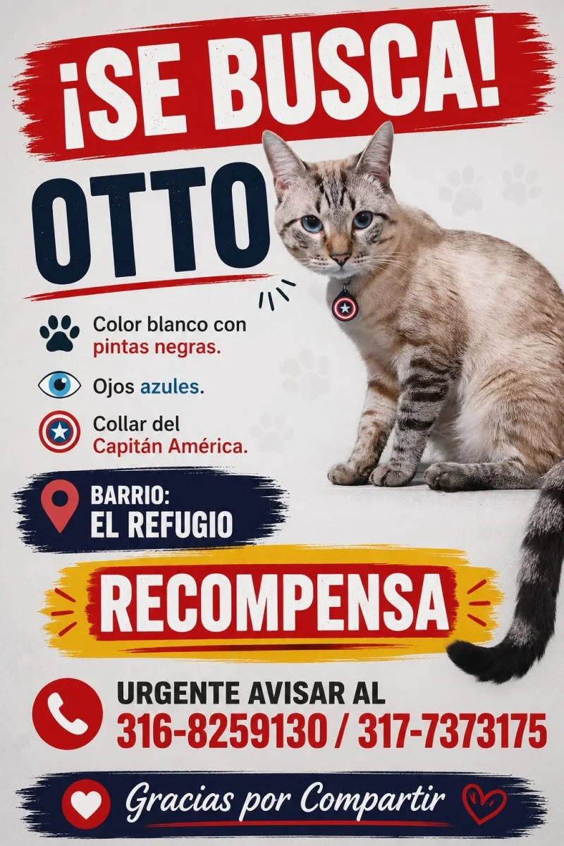Otto