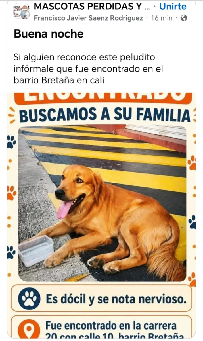 perro
