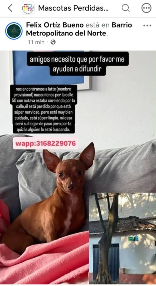 Foto 2