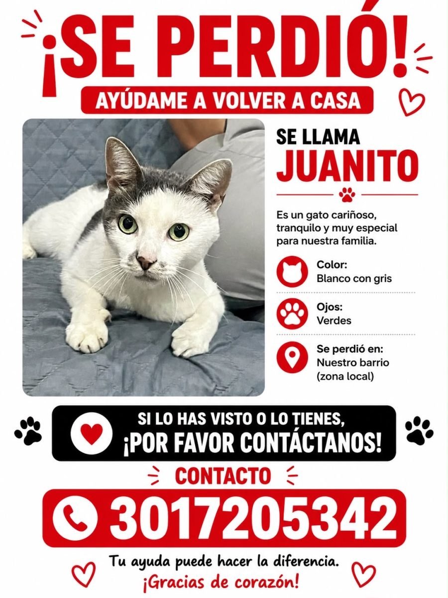 Juanito