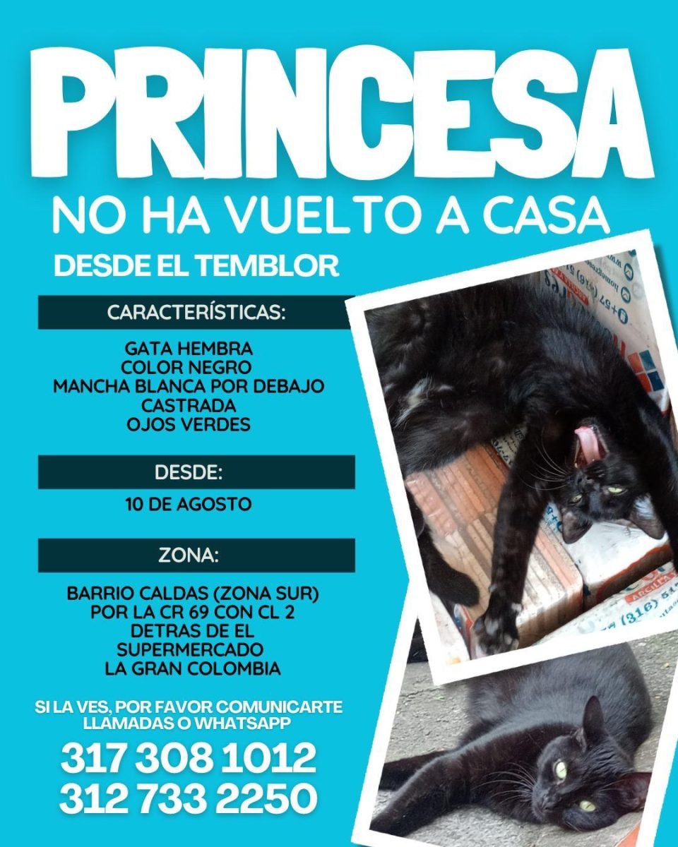 Princesa