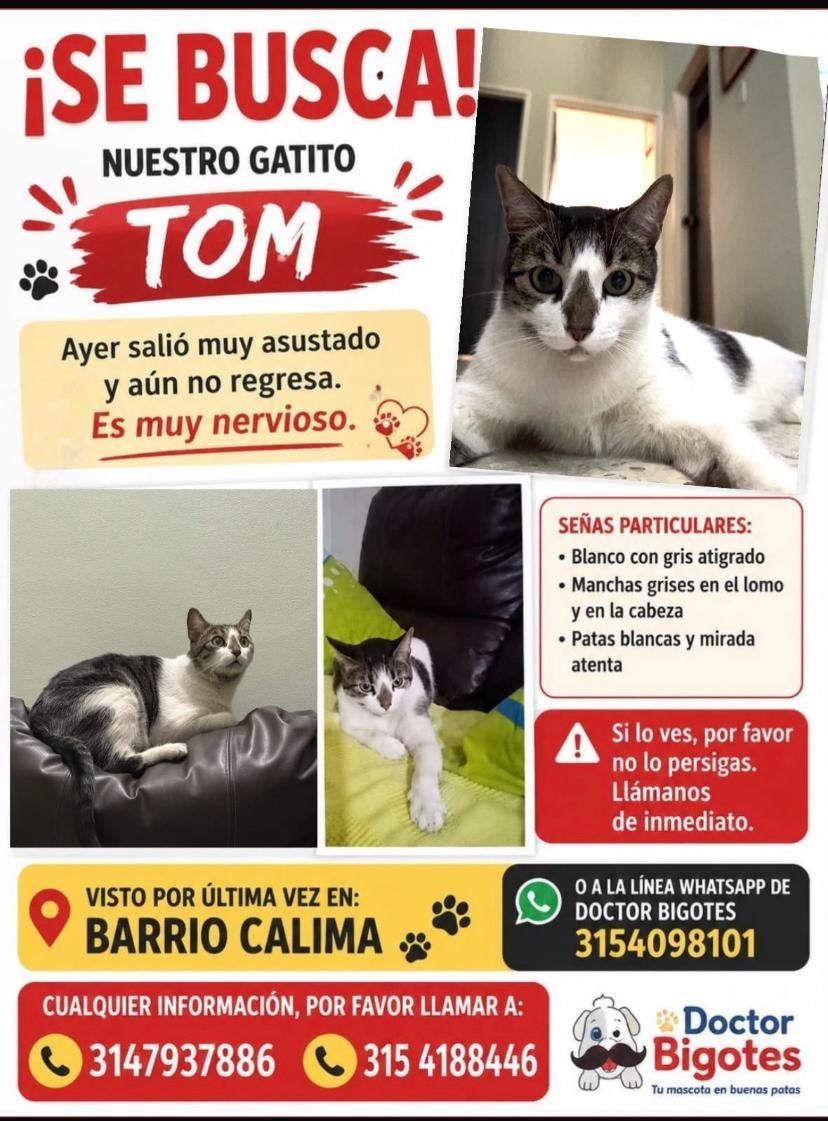 TOM