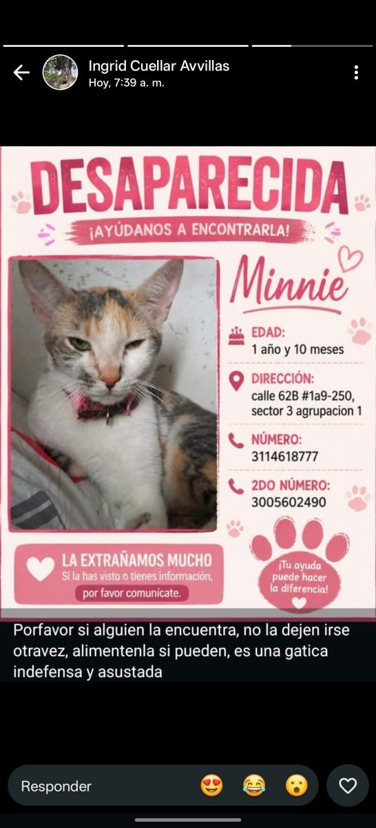 Minni