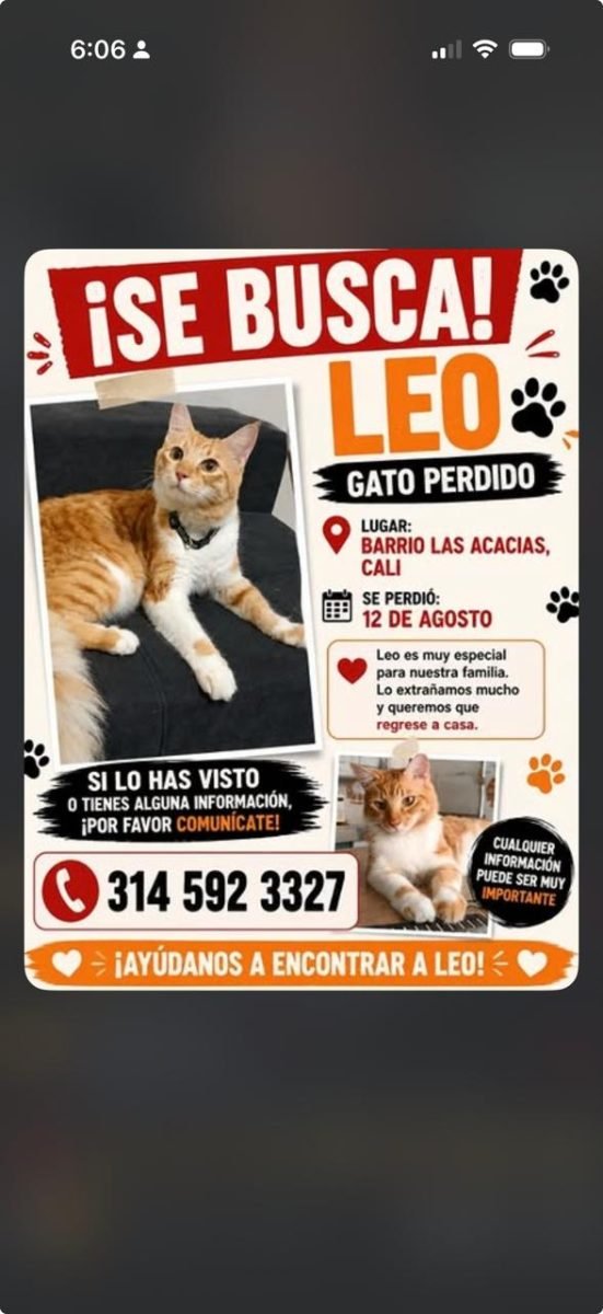 Leo