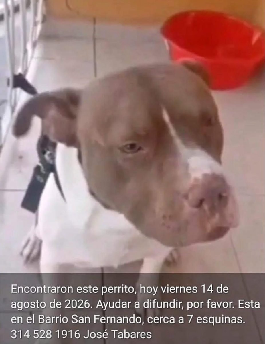Sin nombre